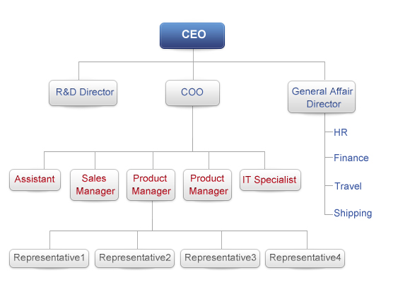 Organization Organization